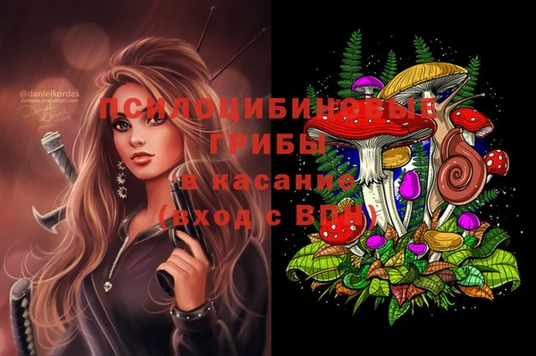 Альфа ПВП Вяземский