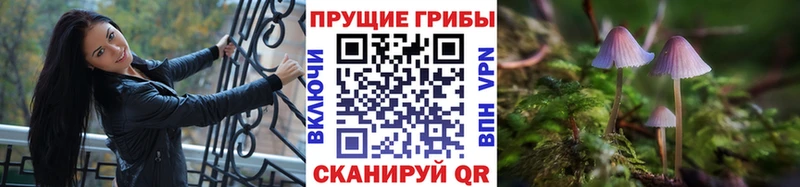 Псилоцибиновые грибы GOLDEN TEACHER  Купить где  Кореновск 
